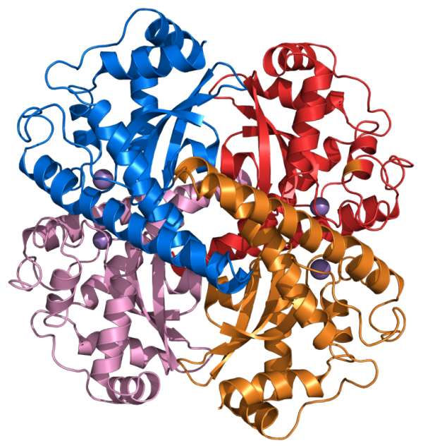 2f637b924dfc1771d825fde8b53f0be6_1705941972_3304.png